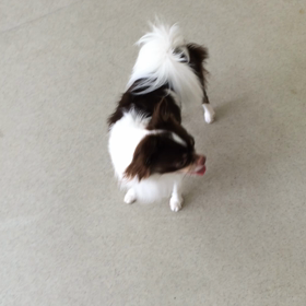 ♪プレイルーム動画♪の画像