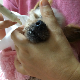 お水の飲ませ方の画像