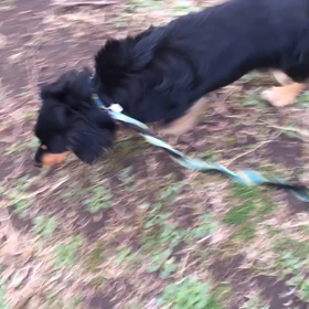 ♪お散歩動画♪代々木公園♪②の画像