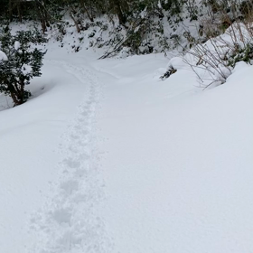 アクティビティー！の画像