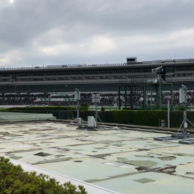 きょうの中山競馬場/動画の画像