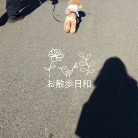 パパとの画像