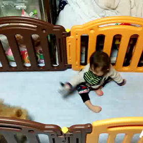 サークルの画像