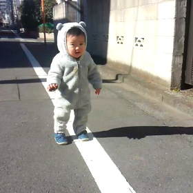 くまちゃん散歩の画像