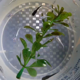 過密飼育の限界か…の画像