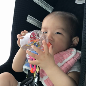 オーストラリアの旅 in ゴールドコースト 〜5days〜の画像