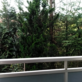 ほ～ホケキョの画像