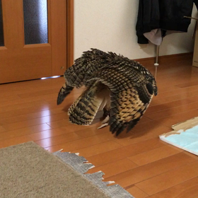 サッカー⚽️の画像