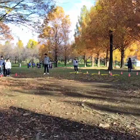 11/23 ダッシュの場④の画像