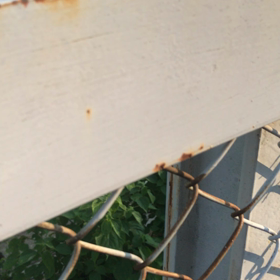 間に合いませんでした！昔のカラーには程遠いが！の画像