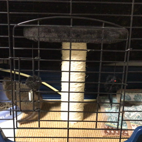 【クシマンセ】新しいタオルで挙動不審の画像