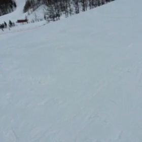 今シーズン2回目の画像