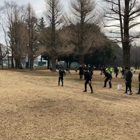 混合リレー バトン練習③の画像