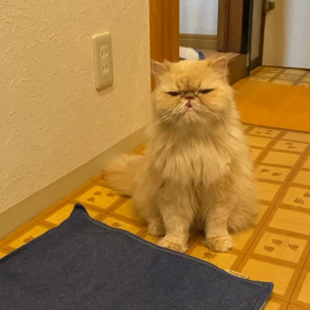 今日は冬至の画像