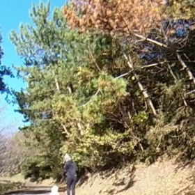 自主練☆の画像