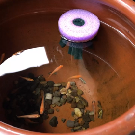 すくすく♪╰(*´︶`*)╯の画像