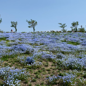 プチ1人旅～続編～の画像