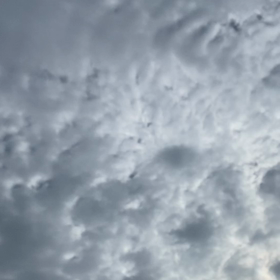 ＝改１＝雲雀の画像