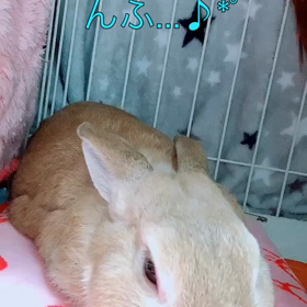 ラブラブの画像