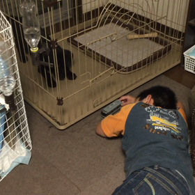 鉄ちゃんの佑ちんと、お転婆はるそして時々モカちきの画像