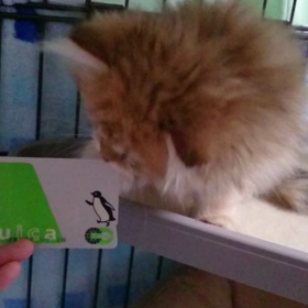 動く動く(笑)の画像