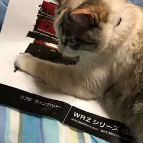 ちょい忙しいの画像