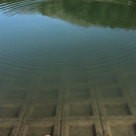 リバースプロジェクト 池の波紋からの画像