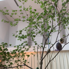 ただいま。の画像