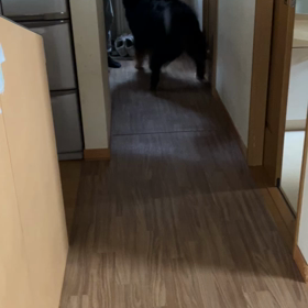 新聞不配達の画像