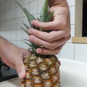 パイナップルの葉っぱの画像