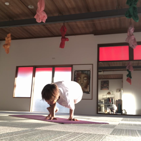 午後ヨガの画像