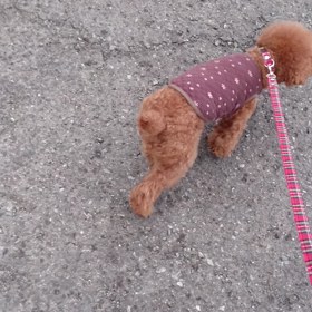 試してみるの画像