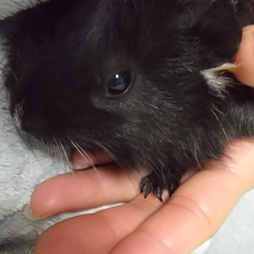 ３日目にして❤️動画つけましたの画像