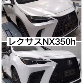 レクサスNX350h"F SPORT"&"VersionL"レクサスボディーコート施工の画像