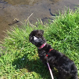 お散歩♪の画像