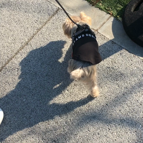 あたたかい♡の画像