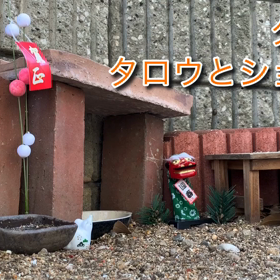 タロウとショータの夕食？、今日のタロウとショータの画像