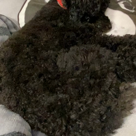 ポチッと(#^.^#)の画像