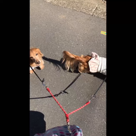 動画編集アプリを変えてみたの画像