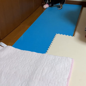動画３本だての画像