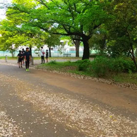 リレー選考会(男子)スタート  付近⑦の画像