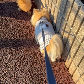 大好きな友達の画像