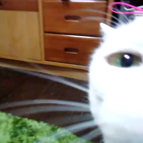 ツンツンデレのるなと私の画像