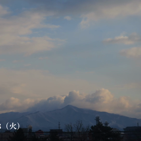 本日もお疲れ様でした☘️☕️☘️の画像