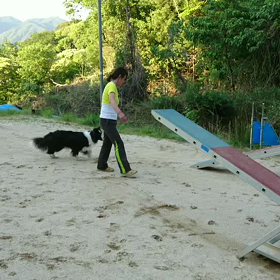 それでも飛ぶんだなの画像