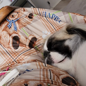 身軽にいきたい！生きたい！の画像