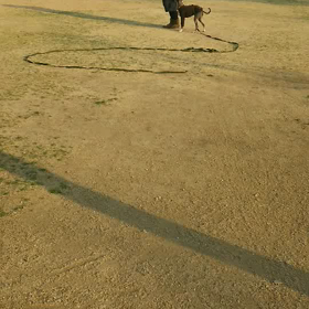 やはりキョドる。の画像