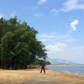 硬い竿     柔らかい竿の画像