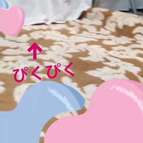 うさぎ動画の画像