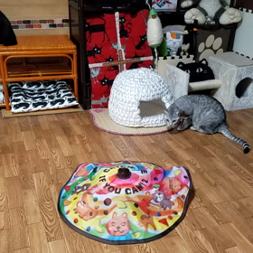 Ｒ＆Ｏお母しゃんに呆れ気味の画像